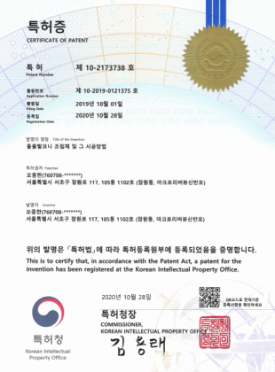 제 10-2173738호